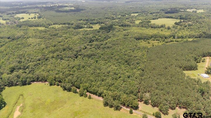 Property Photo: Tbd 38.110 Ac Cr 3206 TX 75681