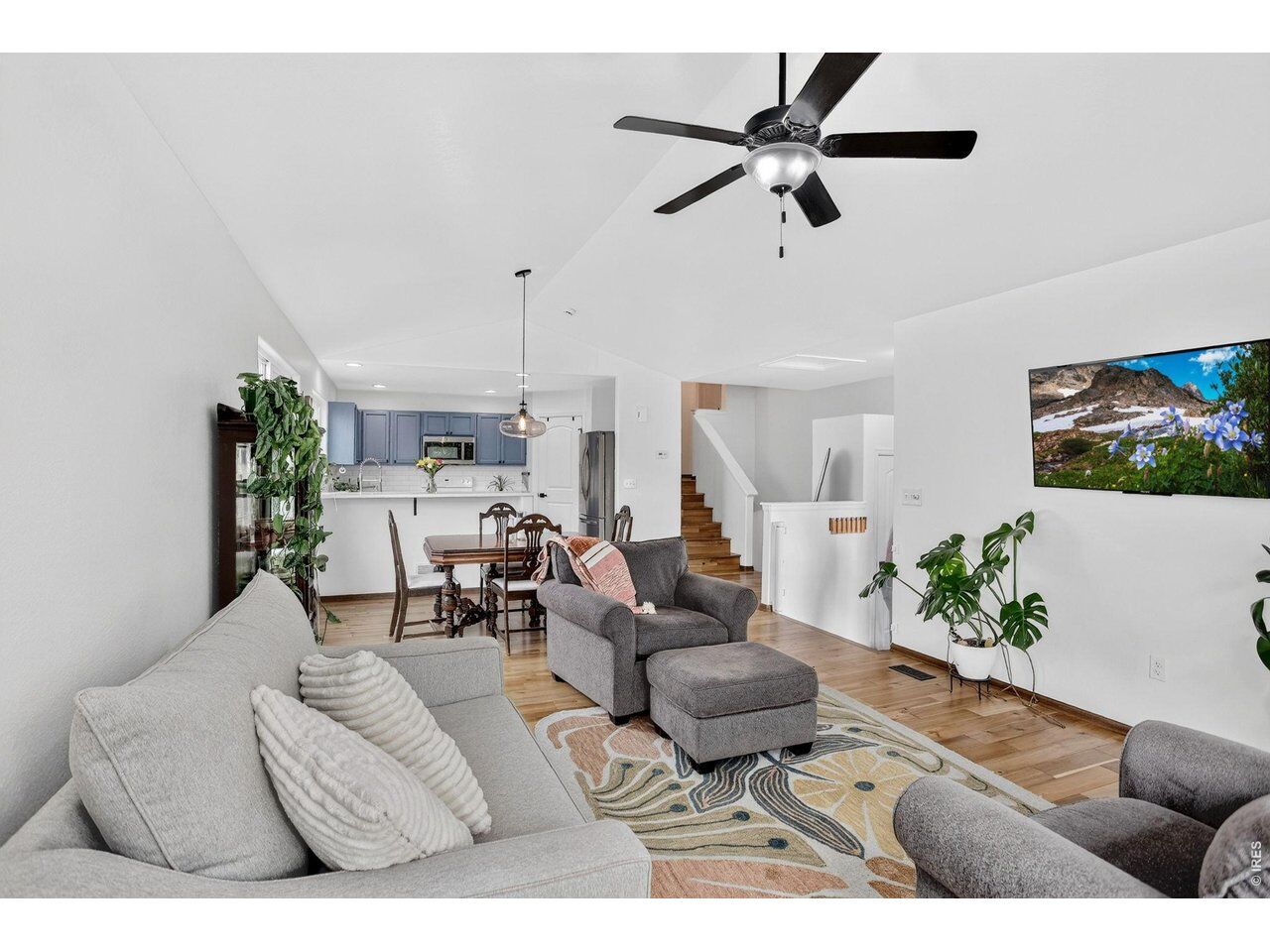 Property Photo:  439 Stoney Brook Rd  CO 80525 