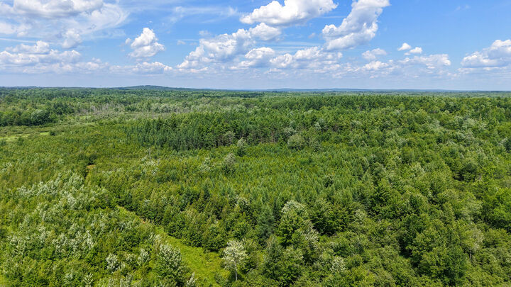 Property Photo: Map 8 Lot 40-5-1 ME 04929