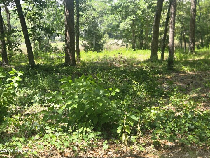 Property Photo:  3183 Mullet Creek Place SE  NC 28422 