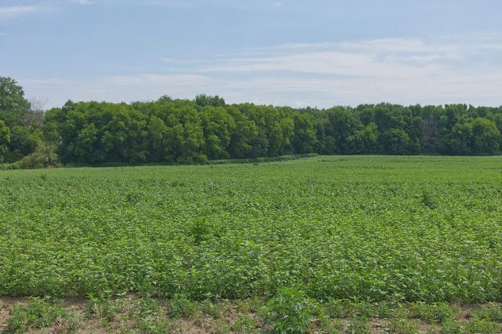 Property Photo: Tbd Ingram Avenue SW MN 55349