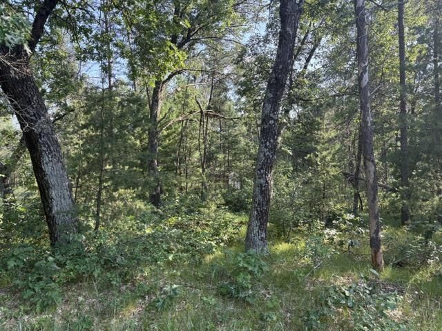 Property Photo:  1173 Arrowhead Trail  WI 54457 