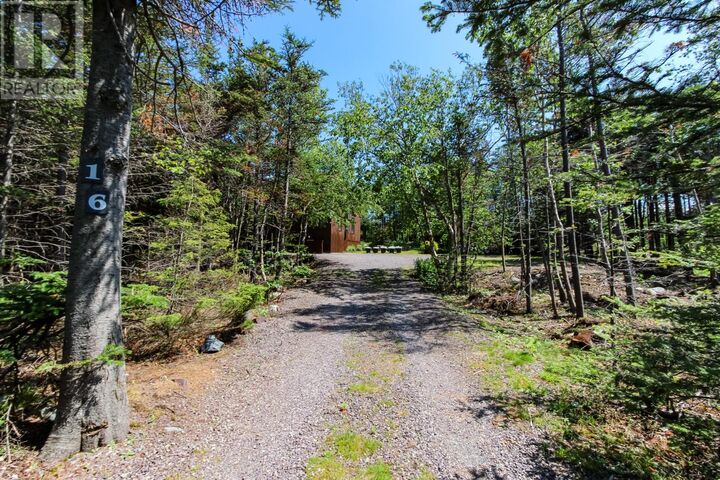 Property Photo: 16 Cox Marsh Road NL A1K 1A2