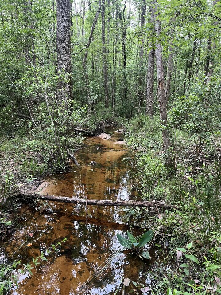 Property Photo: Parcel B Willow Lane FL 32539