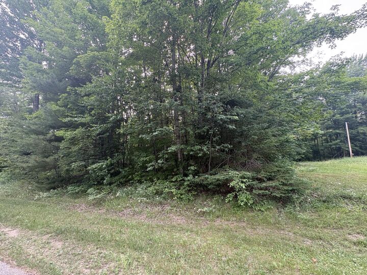 Property Photo: 000 County Road 447 MI 49868
