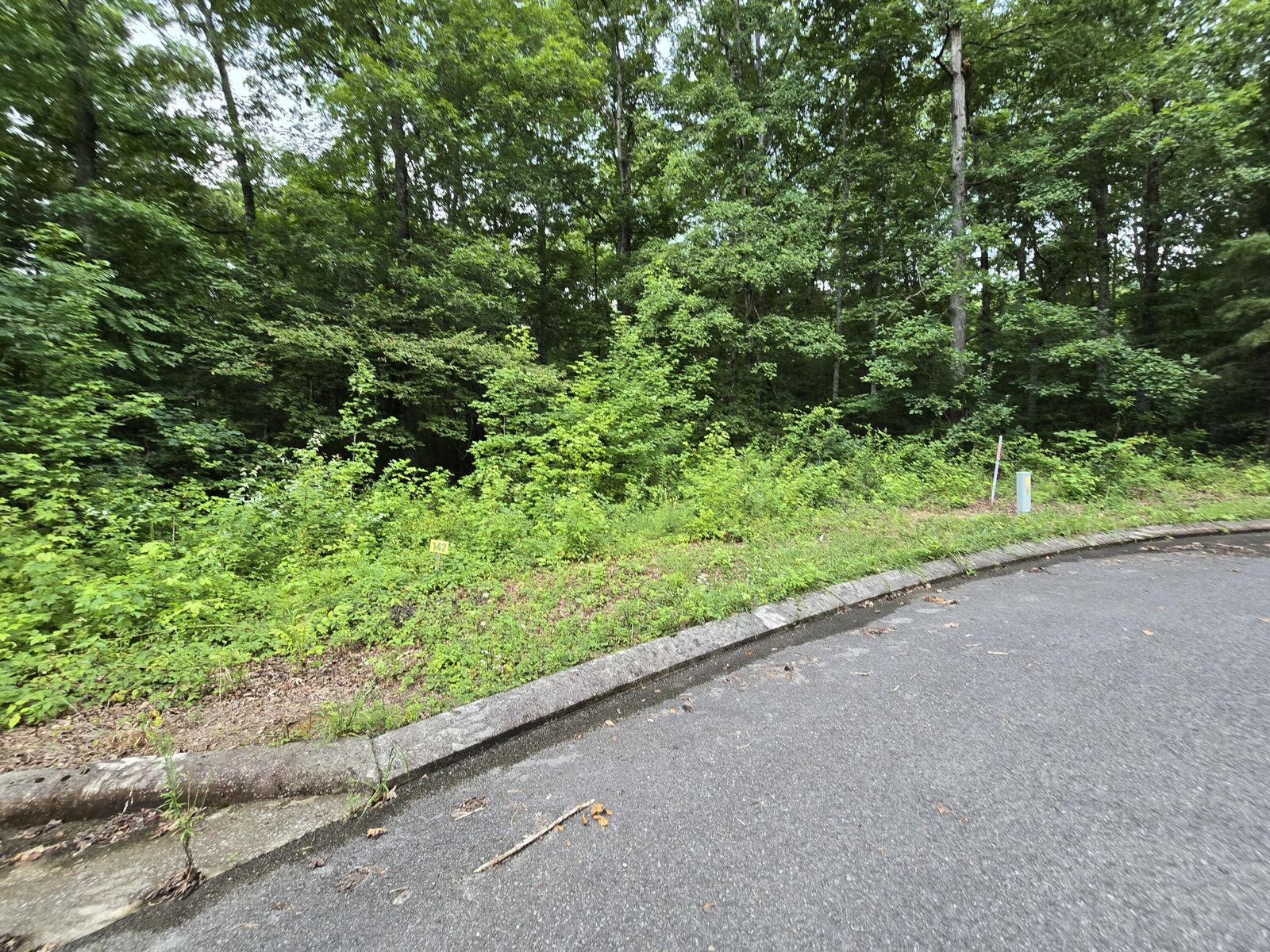 Property Photo: Lot 142 Lower Brow Road TN 37327