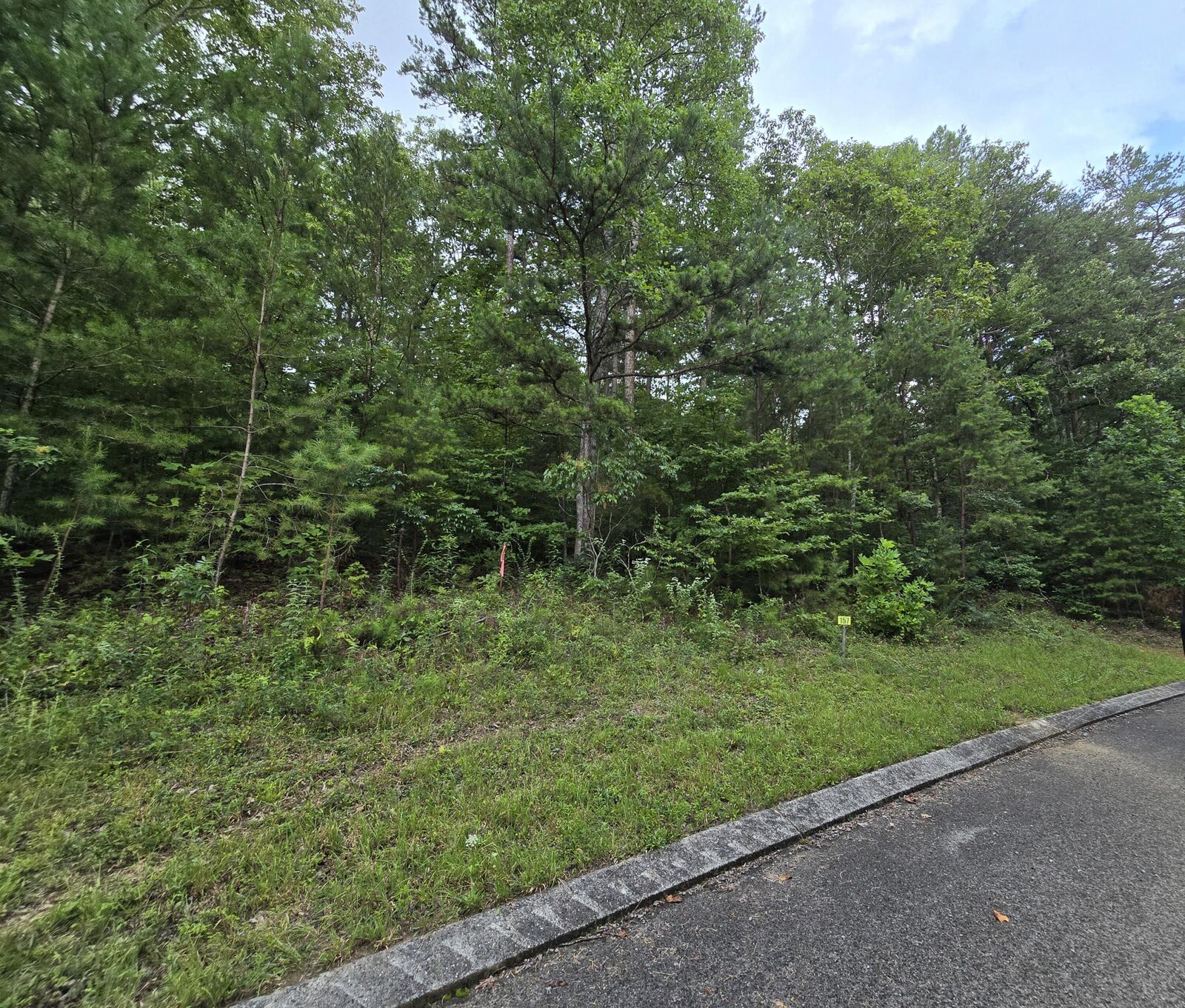 Property Photo:  Lot 157 Lower Brow Road  TN 37327 
