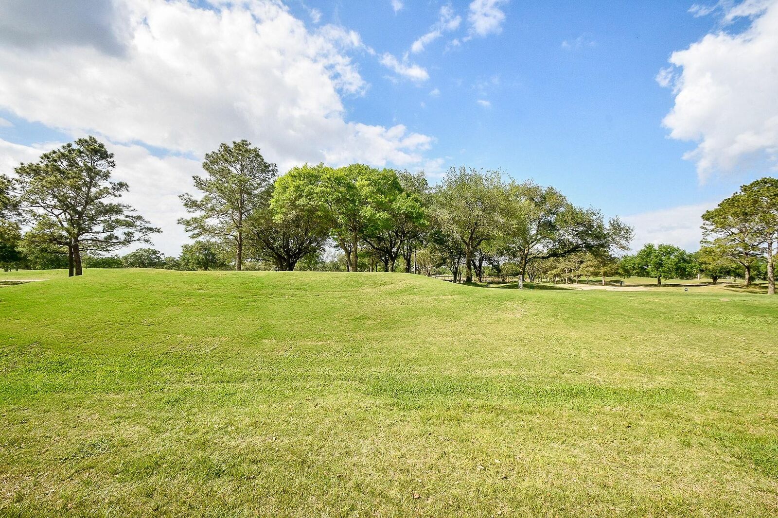 Property Photo:  22810 Blue Canyon Drive  TX 77450 