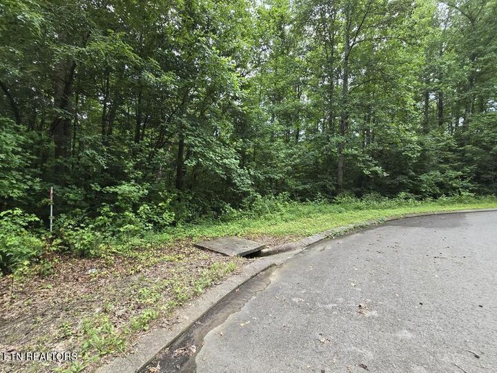 Property Photo:  Lot 133 Lower Brow Rd  TN 37327 