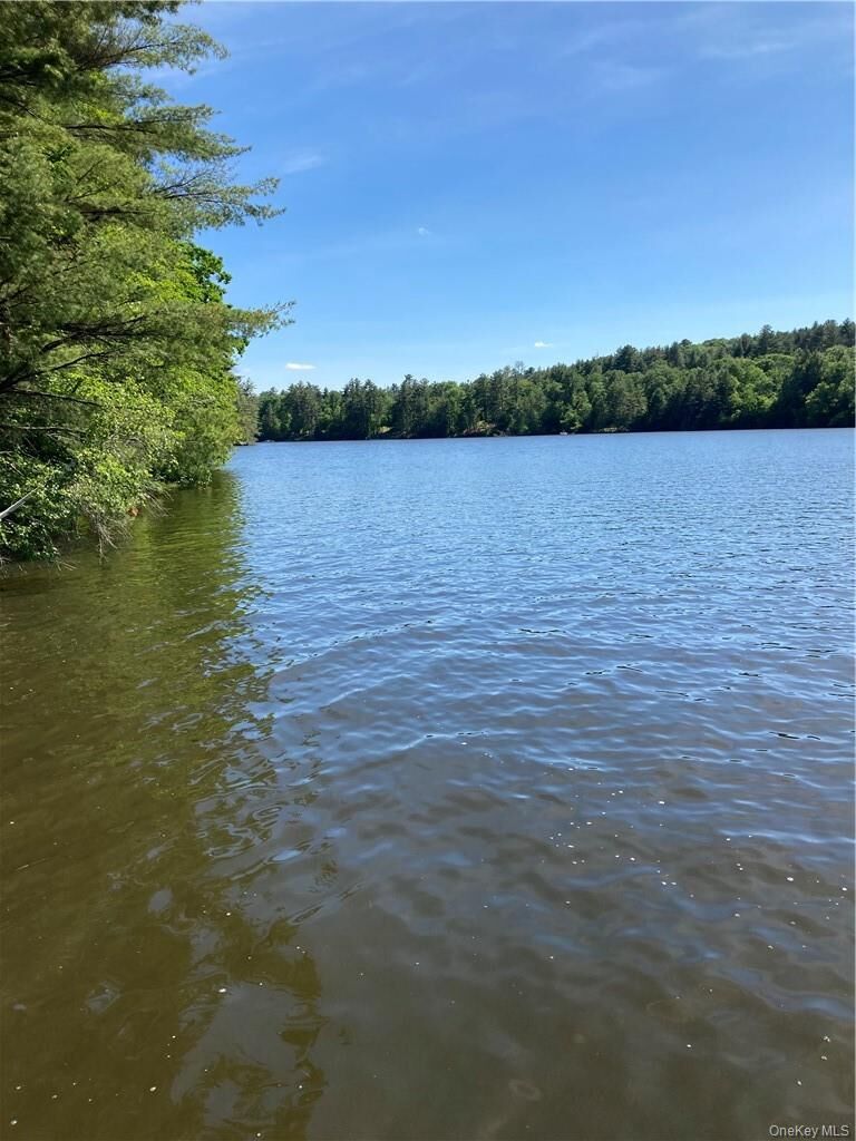 Property Photo:  Plank Road  Forestburg New York  NY 12777 