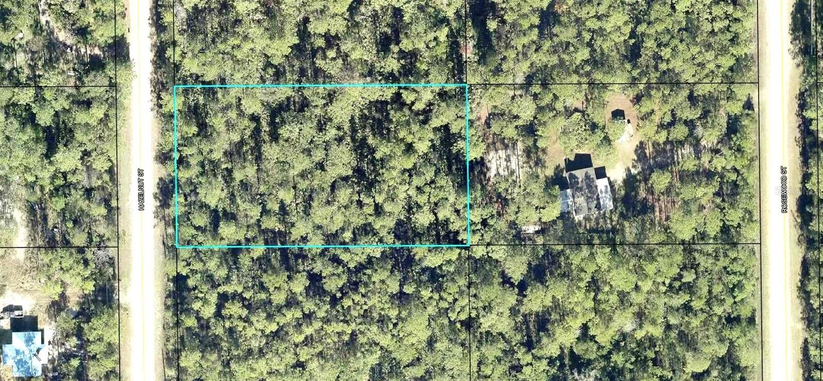 Property Photo: 2185 Hazelnut Street FL 32110