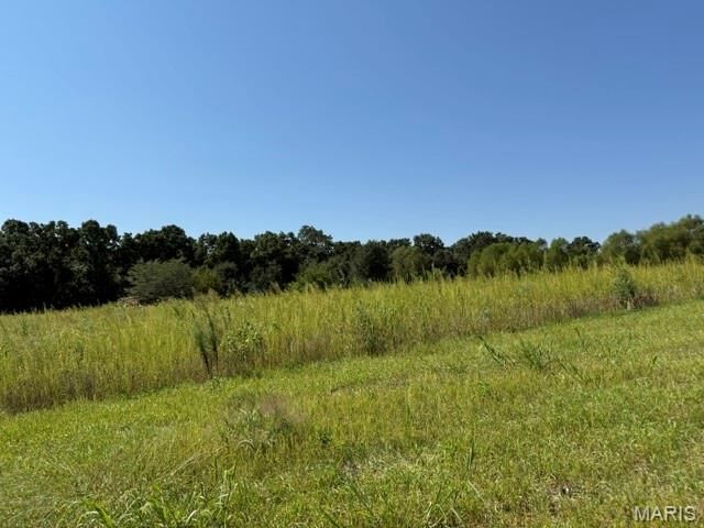 Property Photo: 0 Lot 1 Mikathric Estates MO 63383