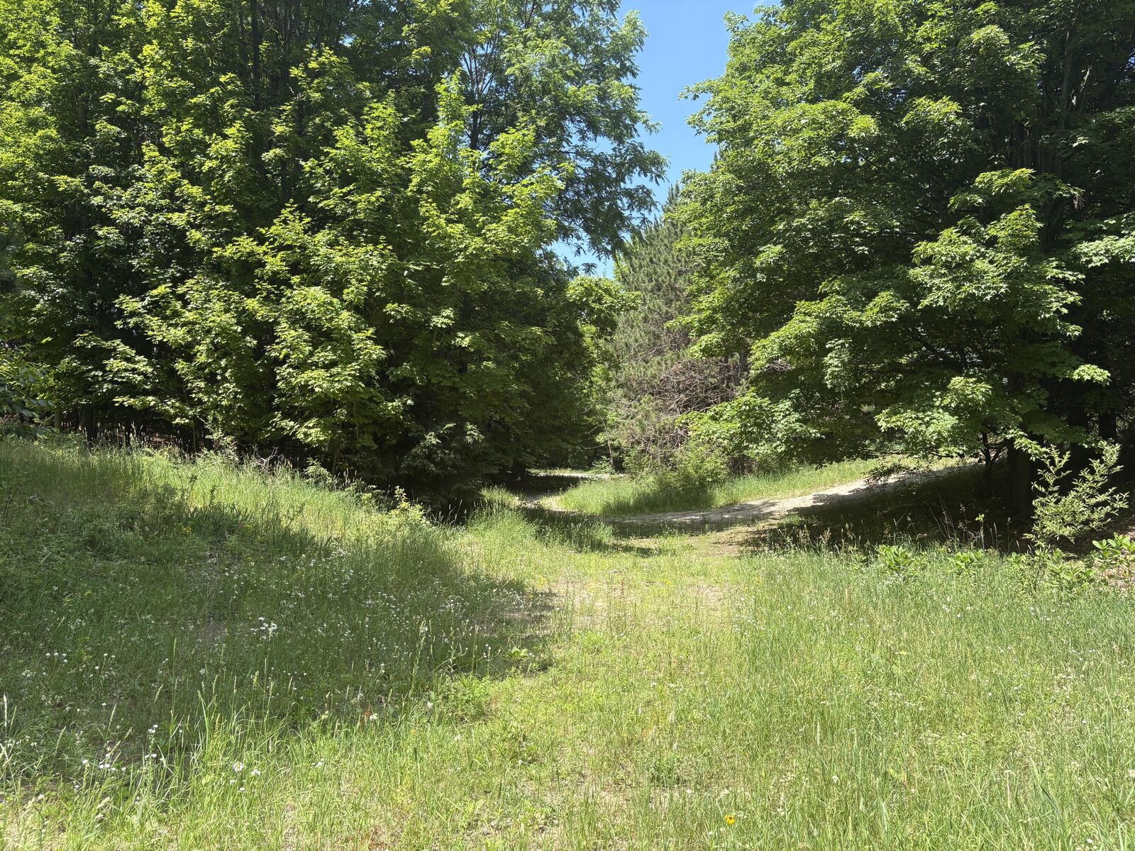Property Photo: 3475 Grace Road MI 49635