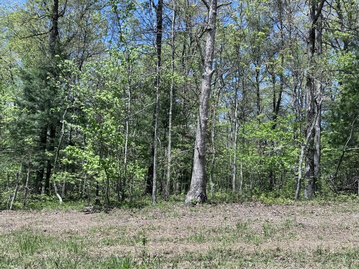 Property Photo:  1027 Natchez Trce  TN 38572 