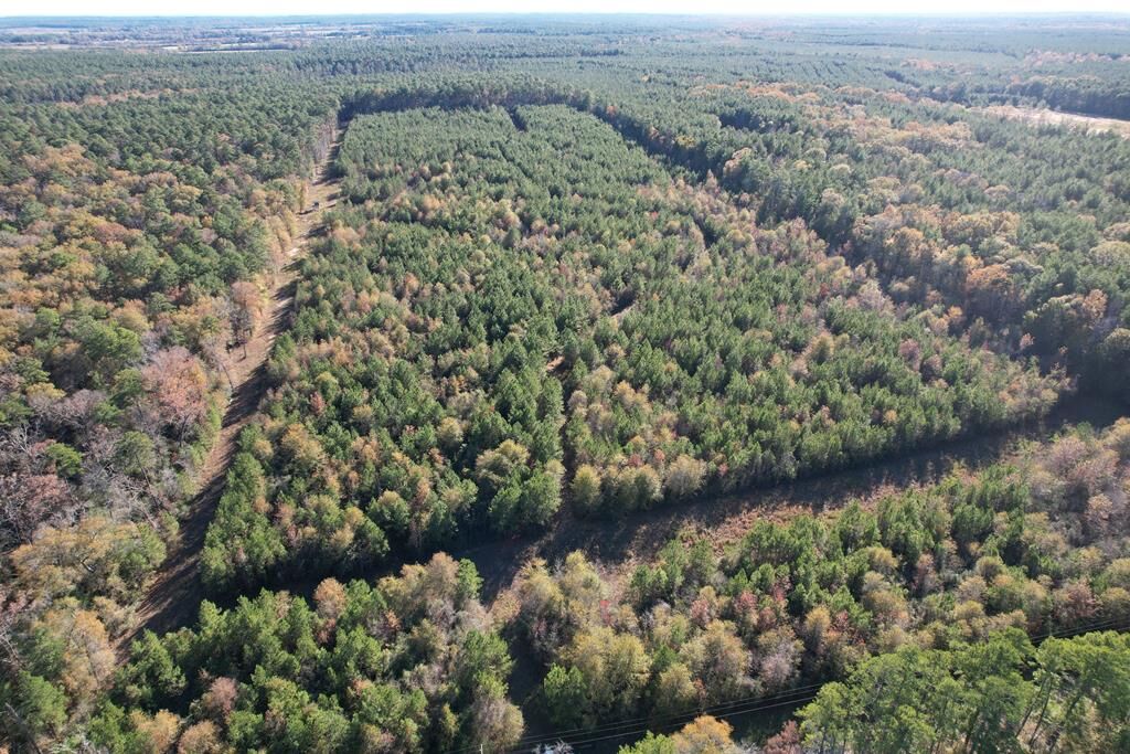 Property Photo: 1729 Neal Road TX 75949