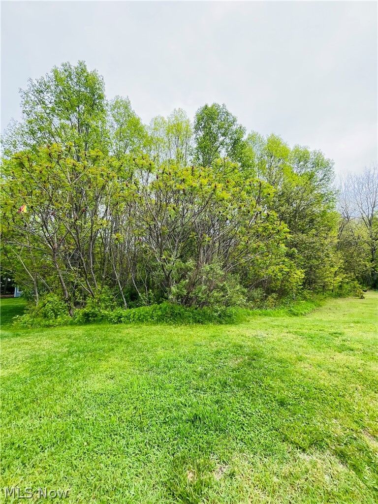 Property Photo:  2215 Cambrian Street  OH 44057 