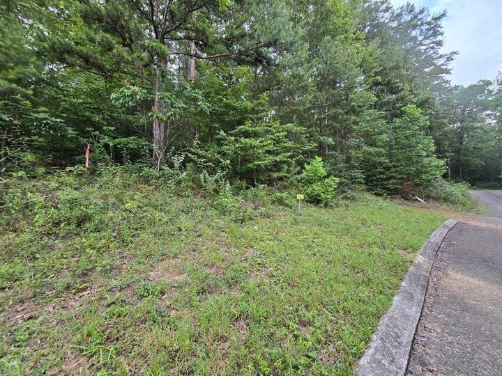 Property Photo:  Lot 157 Lower Brow Road  TN 37327 