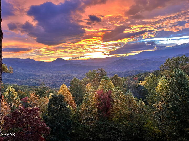 Property Photo:  714 Shell Mountain Road  TN 37876 