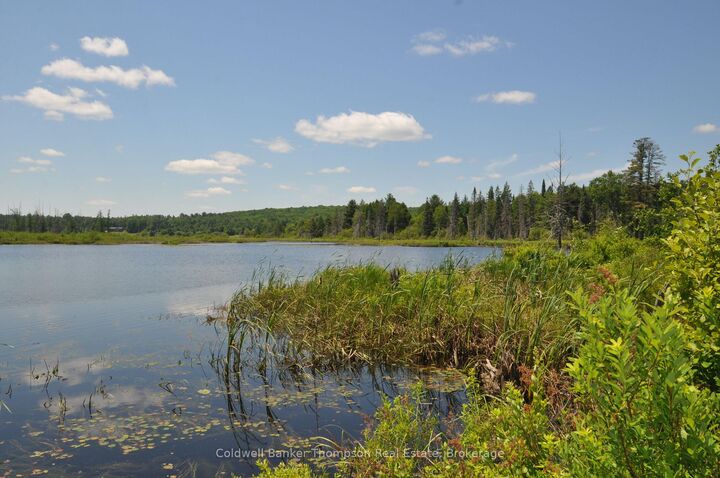 Property Photo:  235 Sinclair Road  ON P1H 0J6 