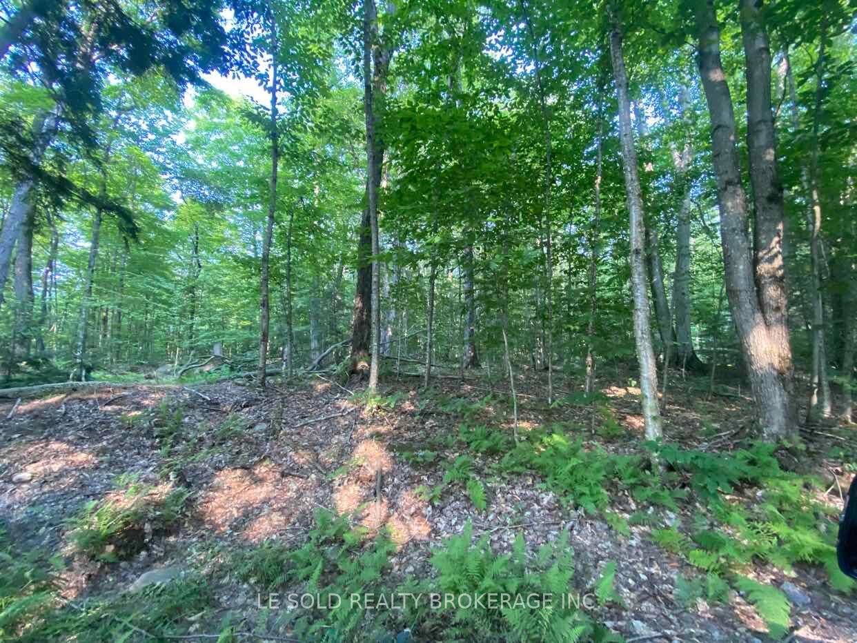 Property Photo:  1310 Camel Lake Road Lot # 7  ON P1L 1X4 