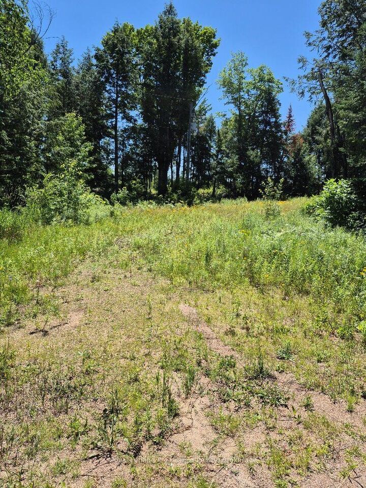 Lot 18 North Steenburg Lake Road — photo 1