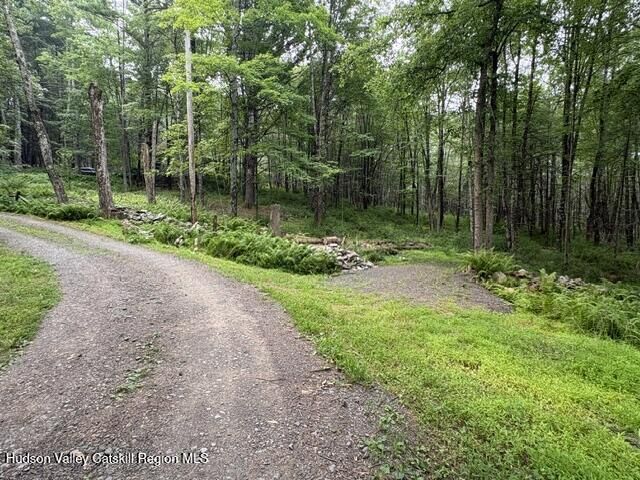 Property Photo: 154 Lang NY 12404