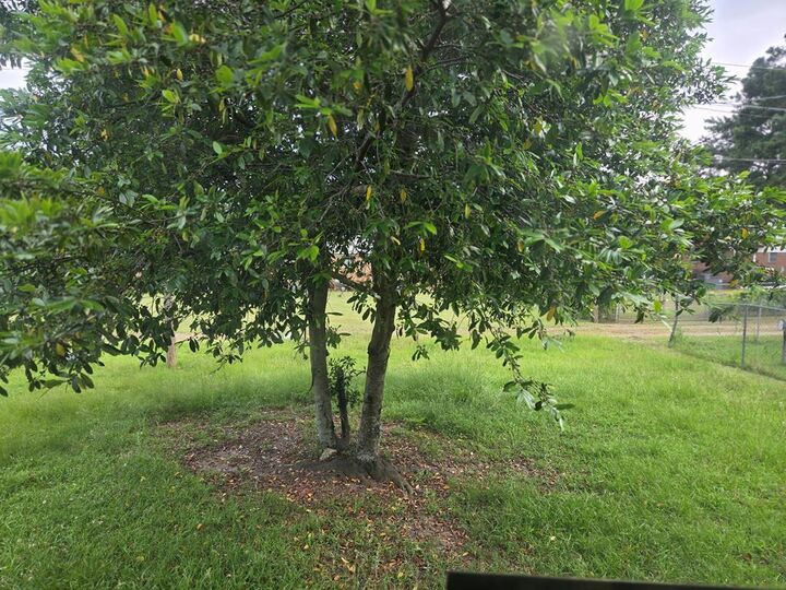 Property Photo: 305 W 27th Avenue GA 31015