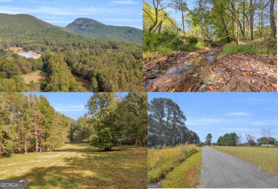 Property Photo:  0 Turner Road  GA 30528 