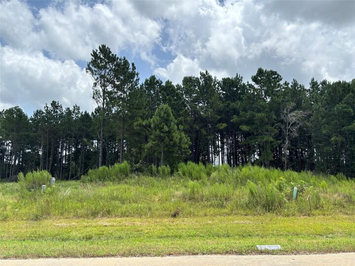 Property Photo: 9056 Road 5503 TX 77327