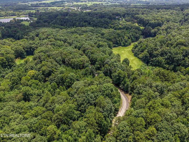 Property Photo:  Lot 155 Lower Brow Rd  TN 37327 