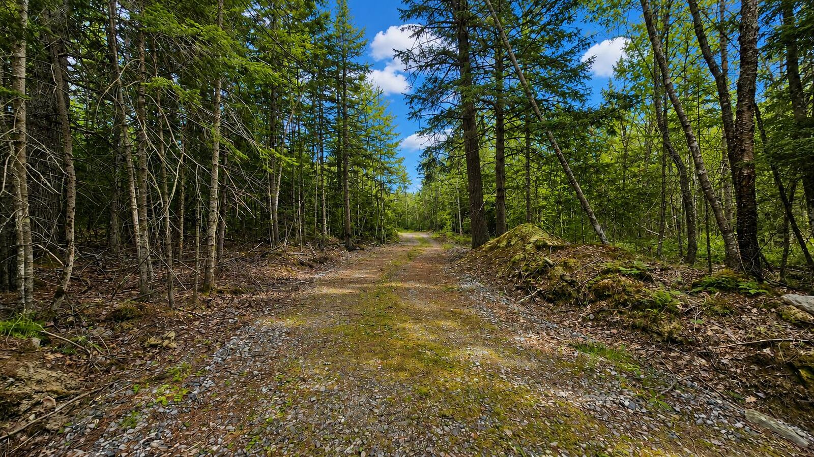 Property Photo:  Lot 42 Colby Road  ME 04578 
