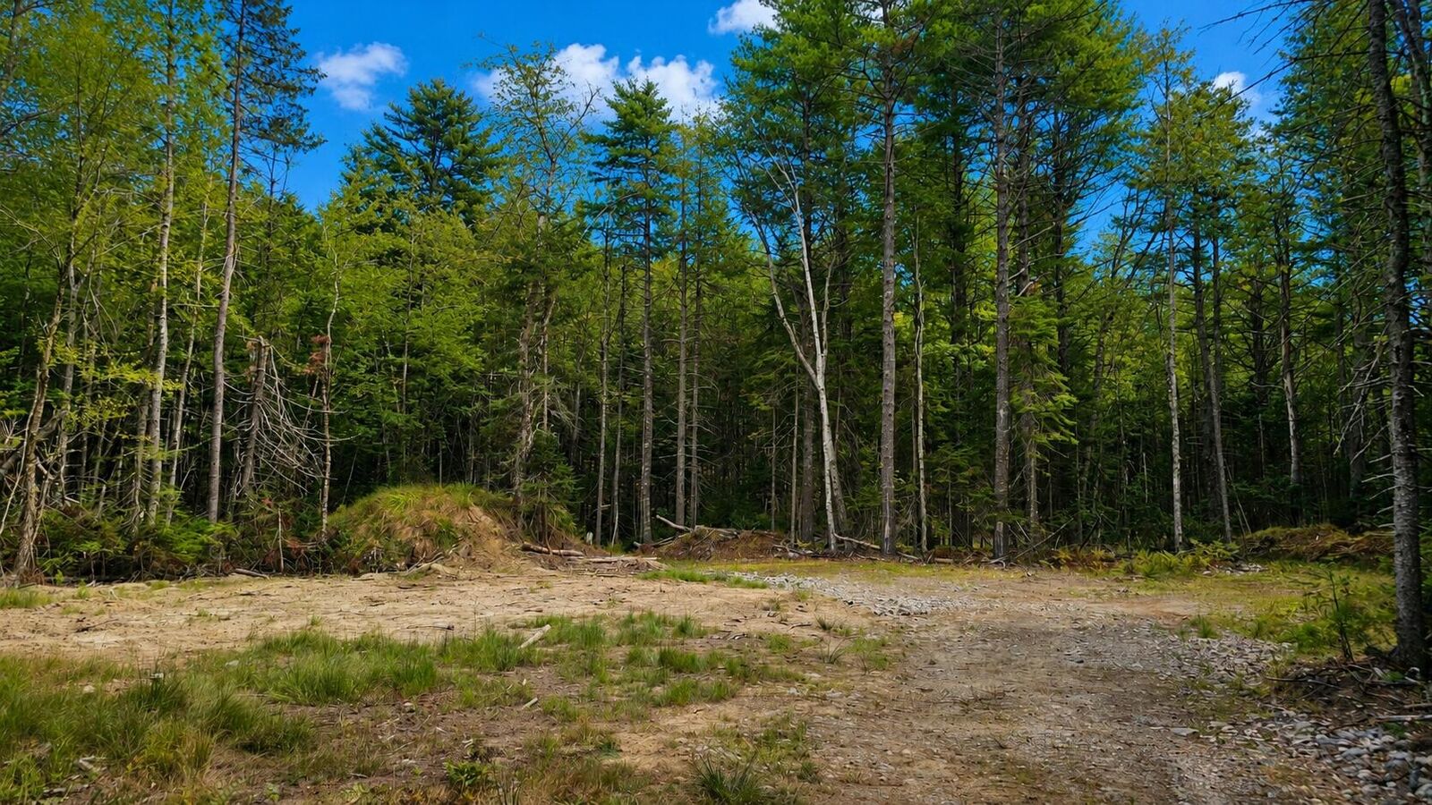 Property Photo: Lot 42 Colby Road ME 04578