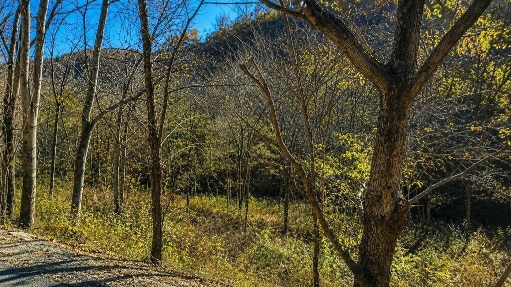 Property Photo: 0 Blackberry Ridge Way TN 37166