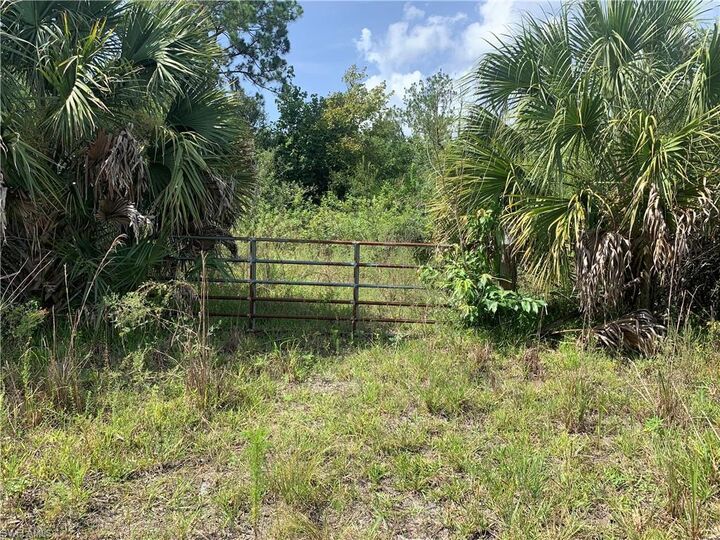 Property Photo: 1020 Limpkin Rd FL 34120