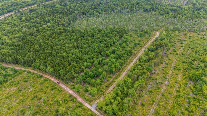 Property Photo:  Lot East Concession Road  NS B0W 1M0 