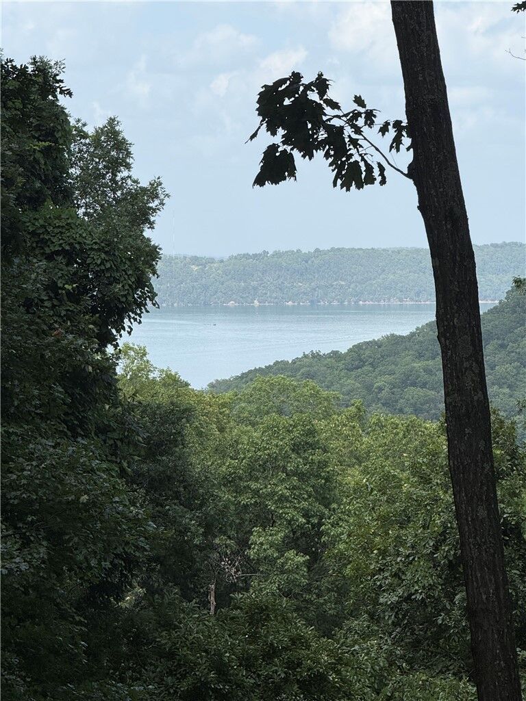 Property Photo:  Lot 21 Mundell Road  AR 72631 