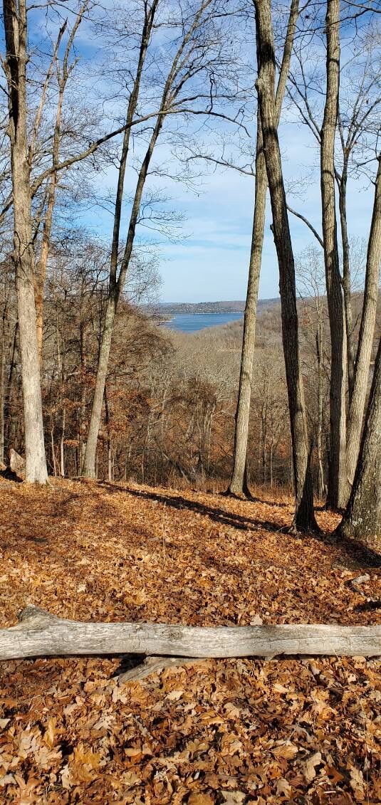 Property Photo:  Lot 21 Mundell Road  AR 72631 