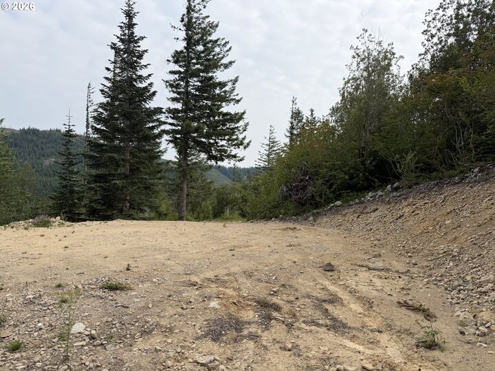 Property Photo:  0 Snag Mountain Rd 112  WA 98671 