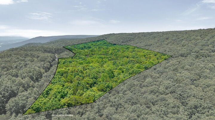 Property Photo: 18.69 Ac Windridge Drive TN 37327