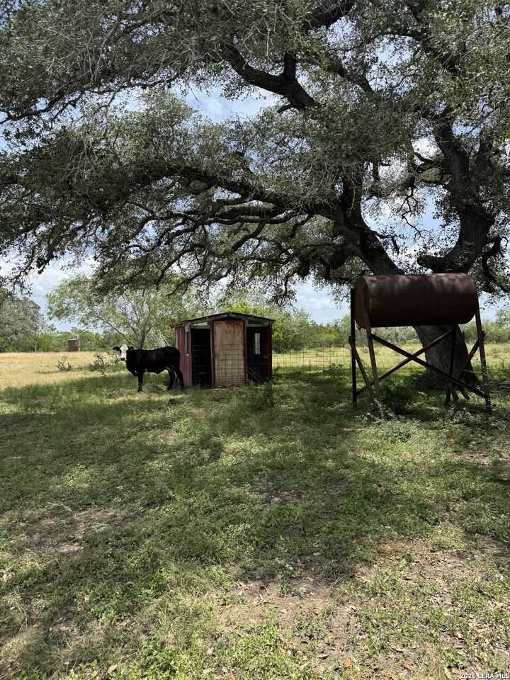 Property Photo: 627 Ochoa TX 78141