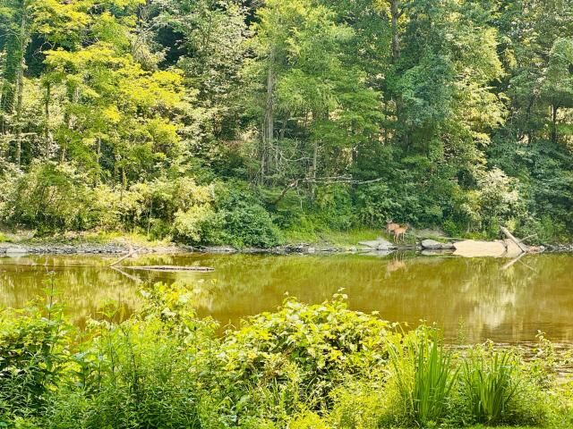 Property Photo: 213 Weeping Willow Lane PA 16345