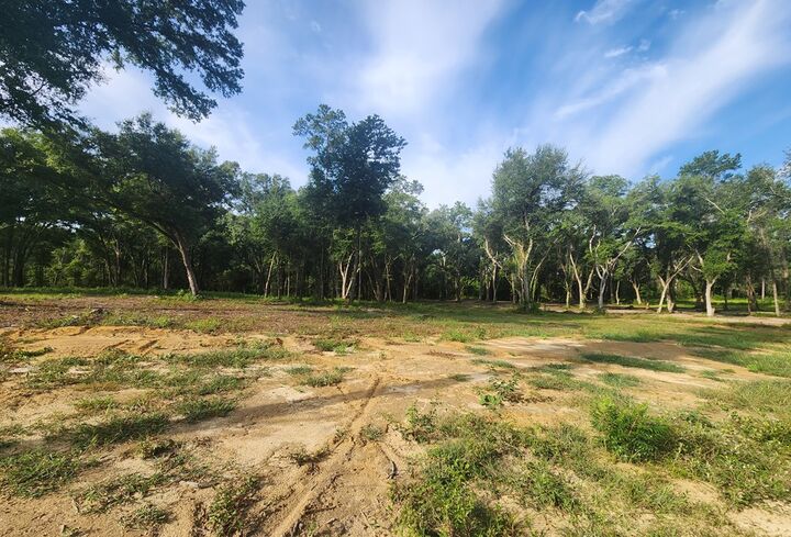 Property Photo:  131 Sawtooth Drive  GA 31763 