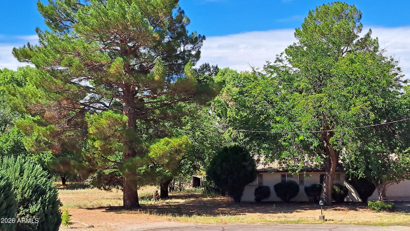 Property Photo:  3647 E Sycamore Lane  AZ 86342 