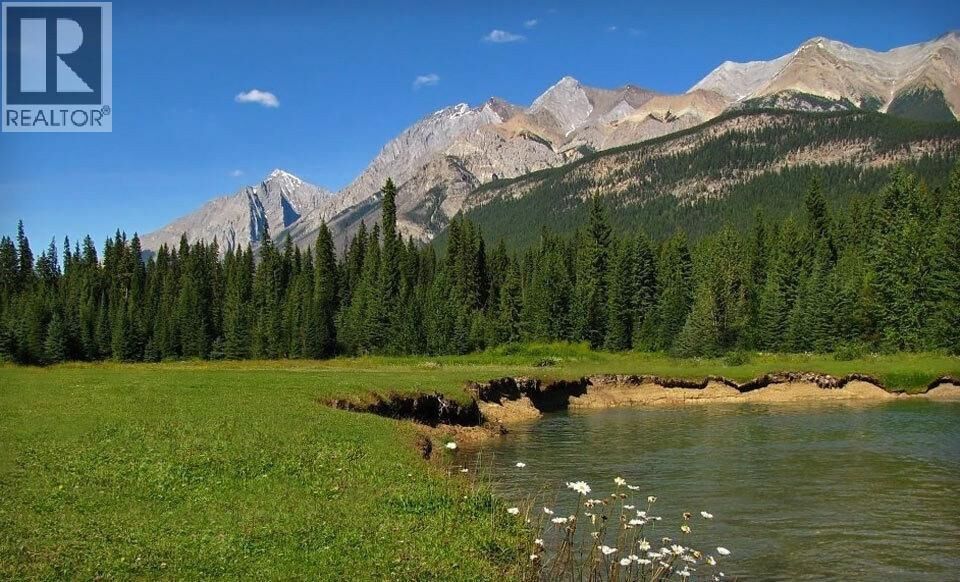 Property Photo:  4227-4233 Beaverfoot Forest Service Road  BC V0A 1H0 
