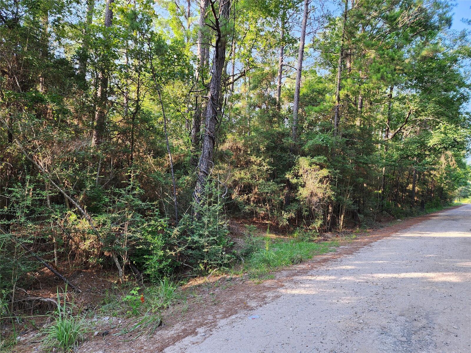 Property Photo: 135 Arborcrest Drive TX 75931
