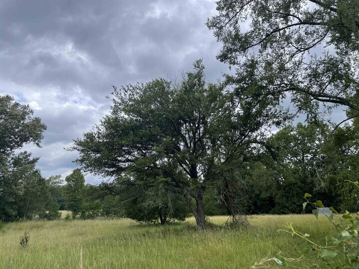 Property Photo: Tbd Fm 1970 TX 75633