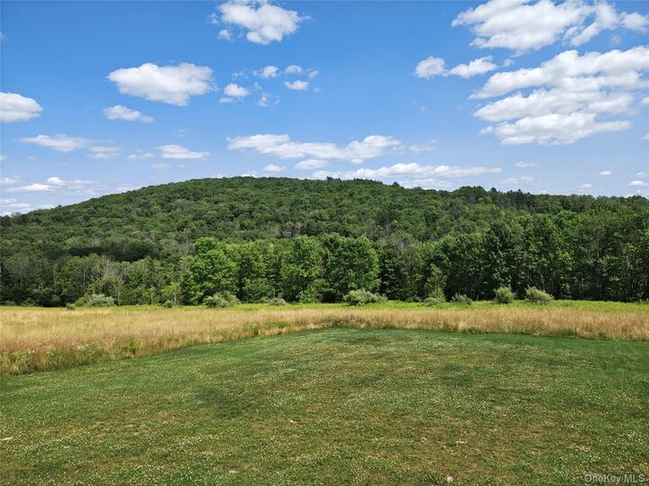 Property Photo:  129 Nelson Road  NY 12741 