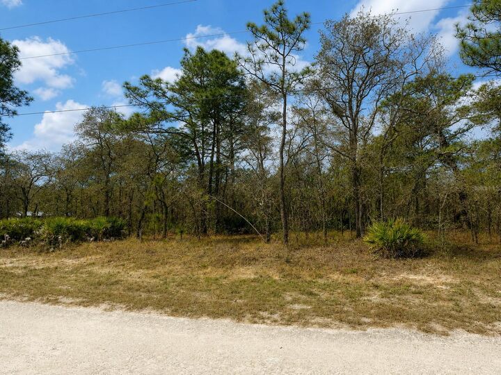 Property Photo: 0 Myland Road FL 34614