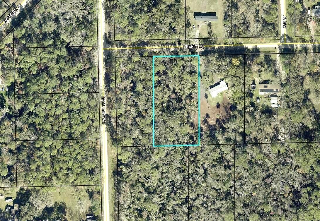 Property Photo:  6413 Cherry Lane  FL 32110 