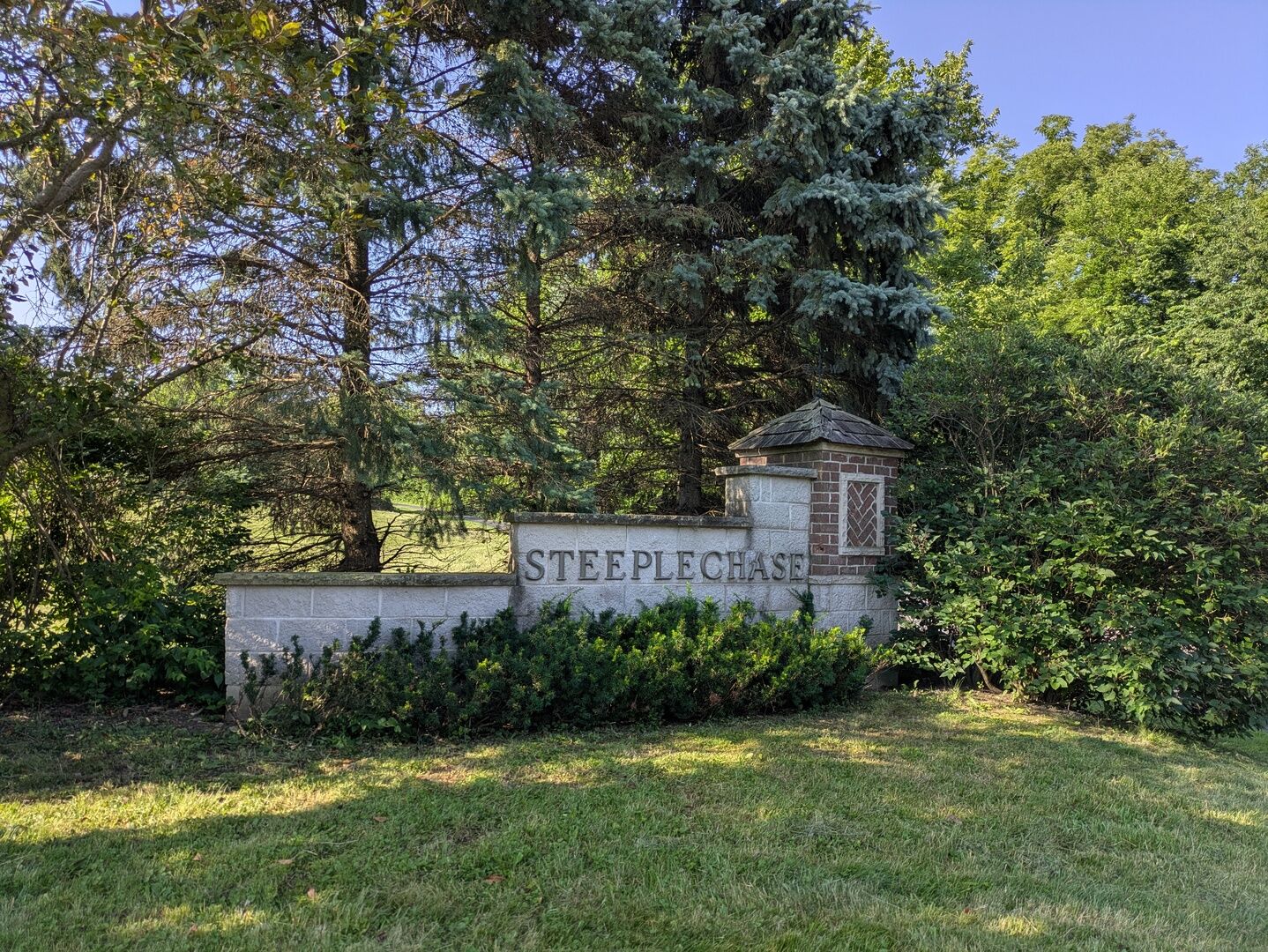 Property Photo:  13131 Steeplechase Drive  IL 60451 